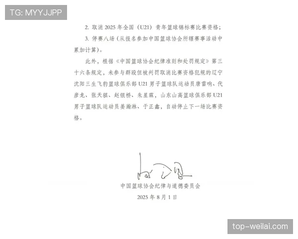 纪律委员会如何判定球员停赛？处罚标准全解析